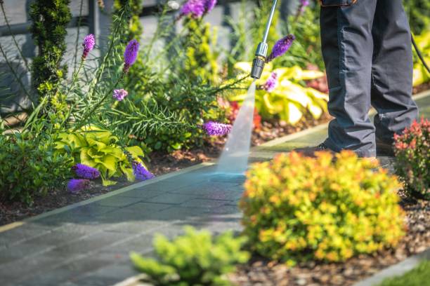 Best Restaurant Pressure Washing  in Fairforest, SC