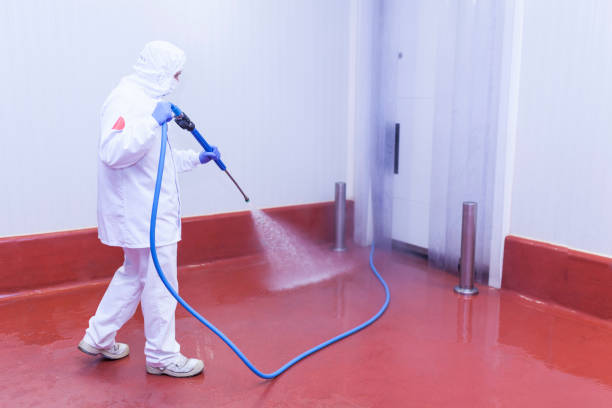 Best Paint Preparation  in Fairforest, SC